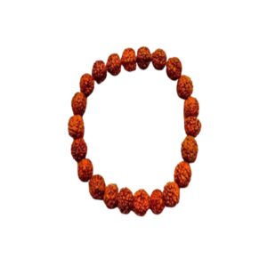 Rudraksh 8MM Bracelet